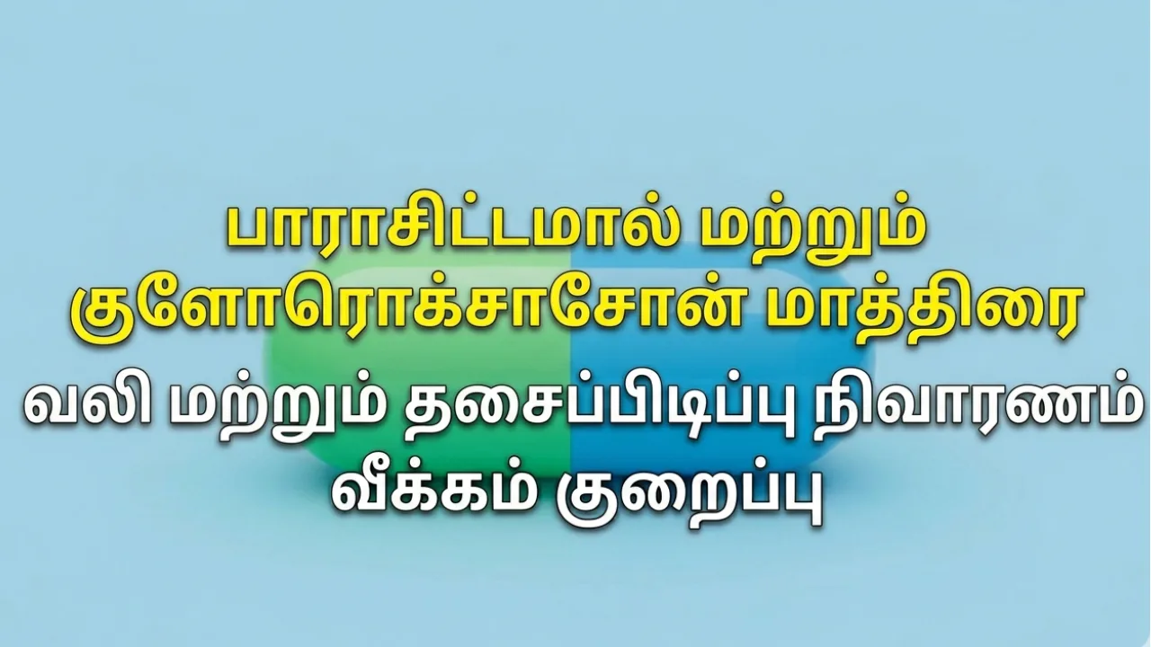 Paracetamol (பாராசிட்டமால்) Chlorzoxazone (குளோர்ஸோக்ஸசோன்) Tablets Uses in Tamil | முழு விவரம்